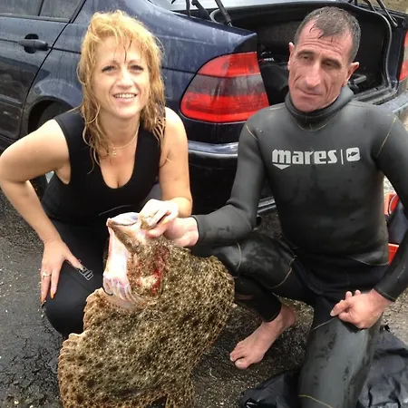 Hotel Zafo Sinemoreț